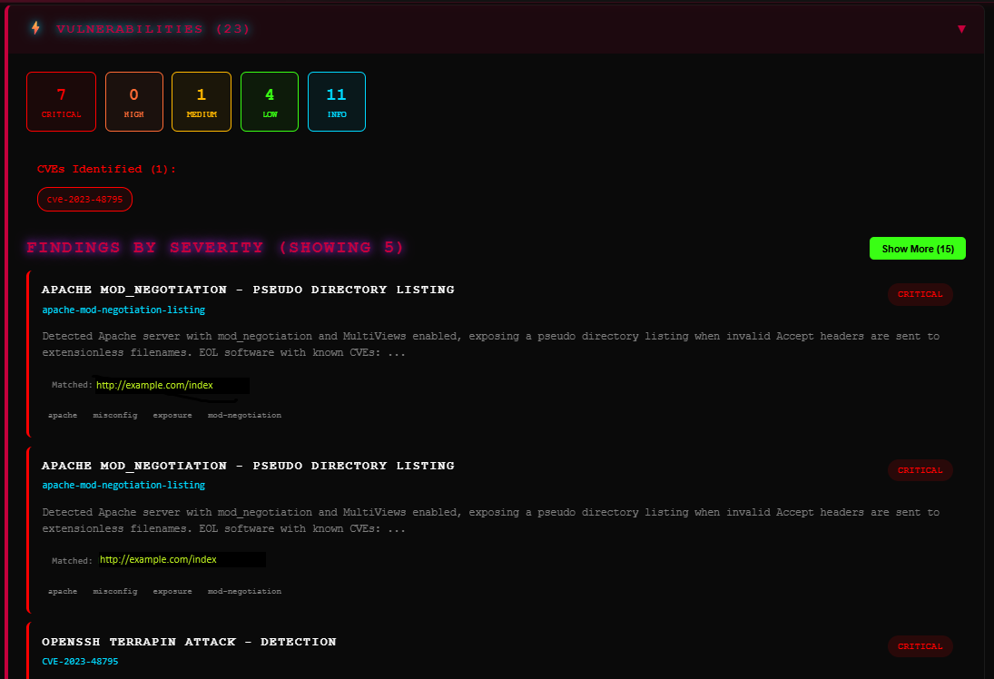 Vulnerability findings with severity ratings and CVSS scores